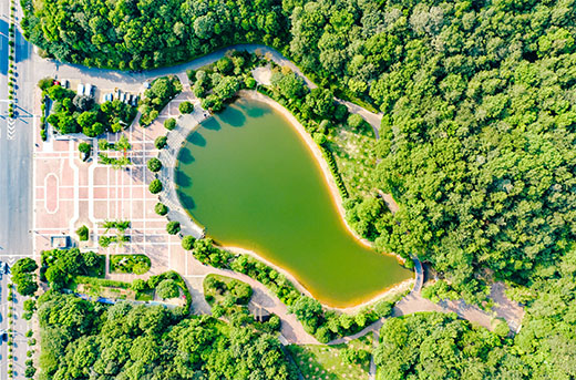 NG28注册平台入口